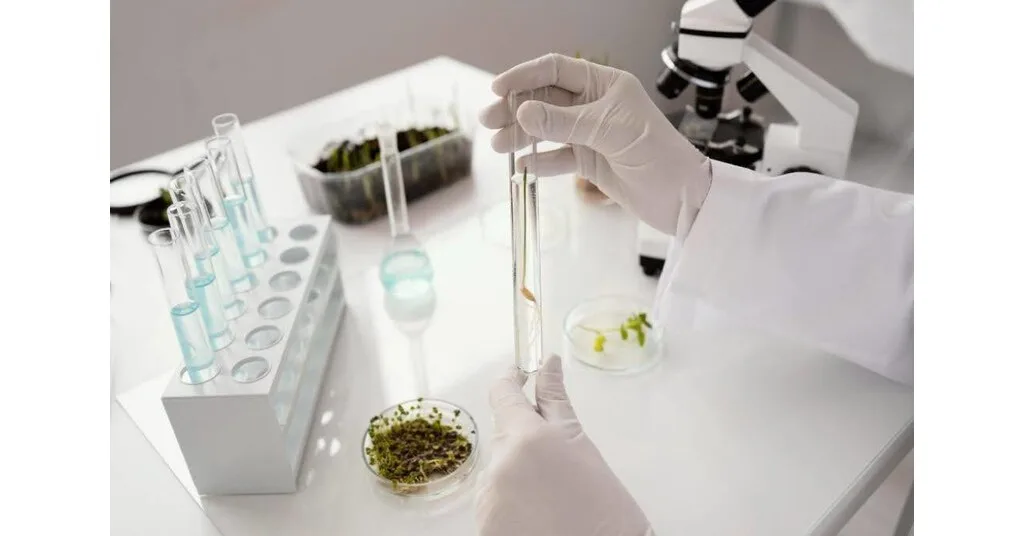 Peptide Patches: A Needle-Free Future for Wellness and Recovery?