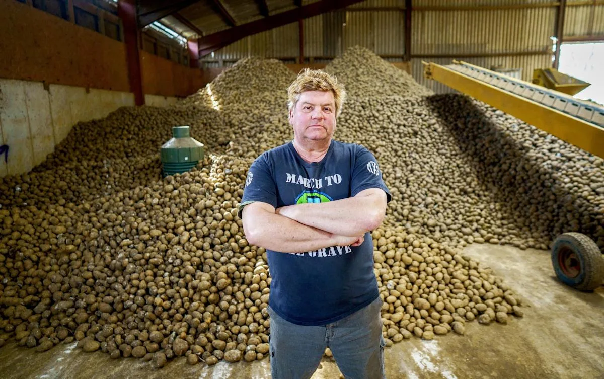 Farmer Blames Ozempic, Mounjaro for 'Potato Mountain' Surplus