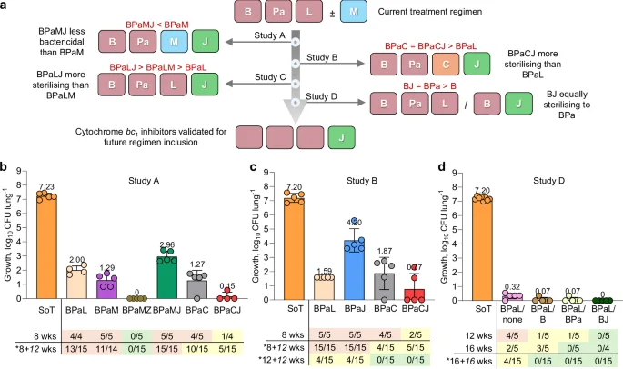 Cytochrome bc1 Inhibitors: A New Hope for Tuberculosis Treatment?