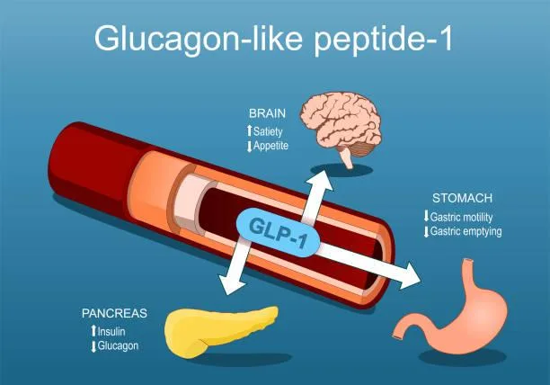 Ozempic, Wegovy, Mounjaro: A Revolução GLP-1 Transformando a Saúde