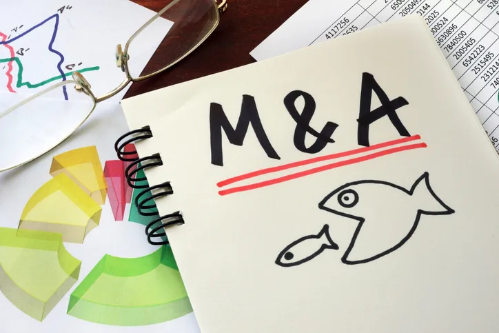 Experts on Hims & Hers' $1.15B Eucalyptus Acquisition