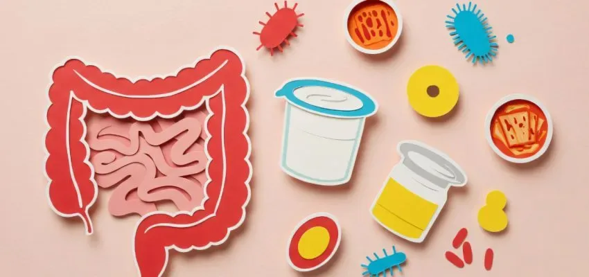 Gut-Reset-Ära 2026: Neudefinition von Gewichtsverlust und Verdauungsgesundheit